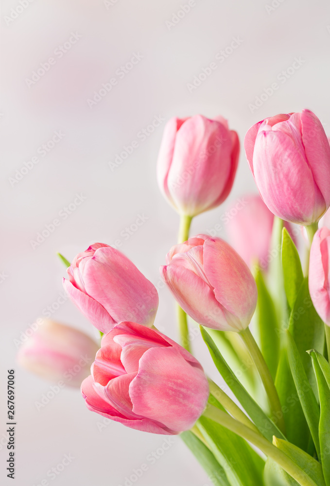 Obraz premium Pink spring tulips on a marbled background with copy space
