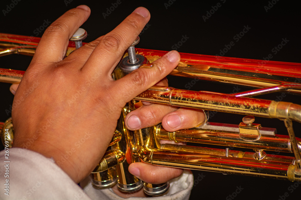 Obraz premium Hands in a trumpet