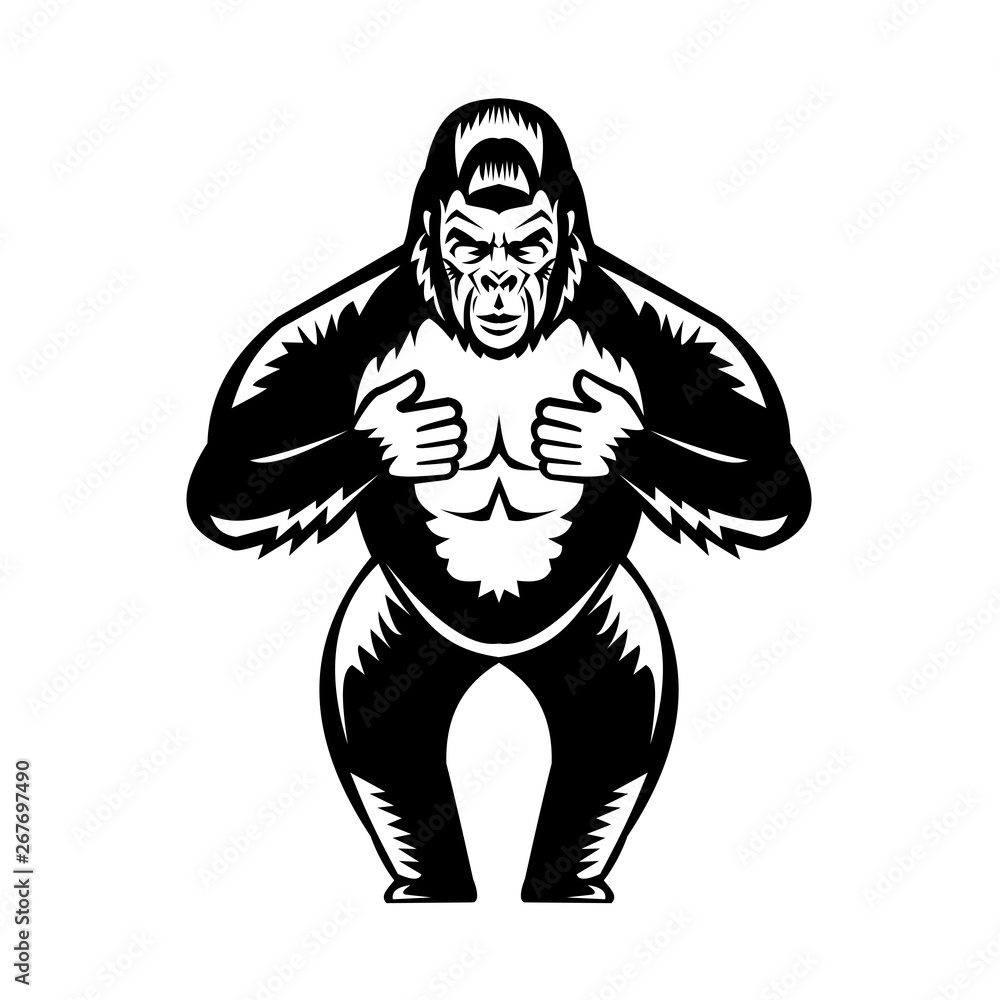 Retro woodcut style illustration of a silverback gorilla  thumping or beating it's chest viewed from front on isolated background done in black and white.
