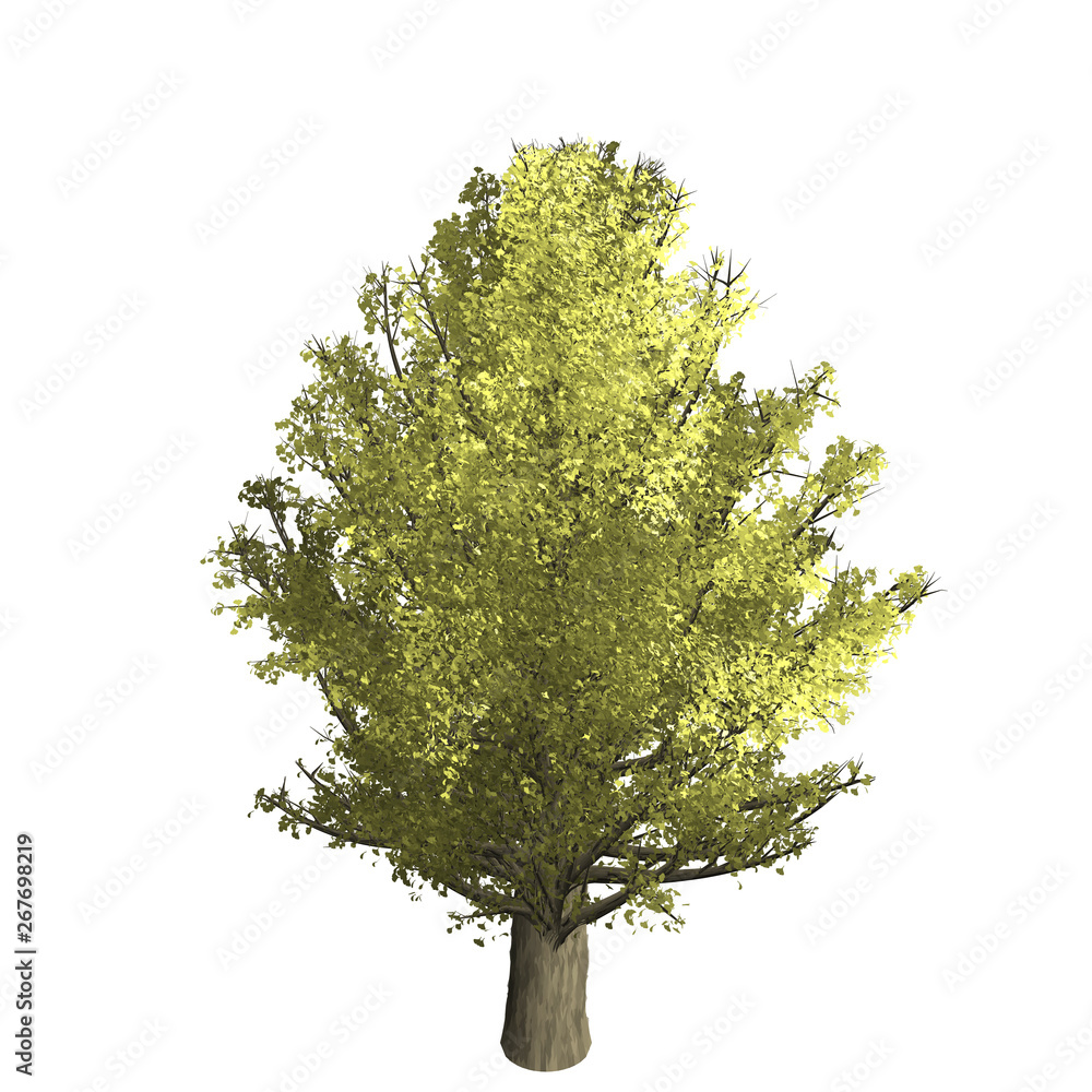 Fototapeta premium Ginko tree graphic picture. Three-dimensional light and shadow design. For decorating the garden and forest.