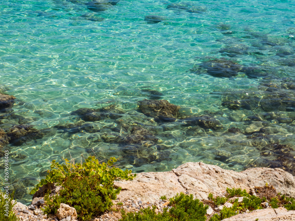 Amazing blue crystal clear water - fresh green plants on the rock shore Amazing blue crystal clear water - fresh green plants on the rock shore
