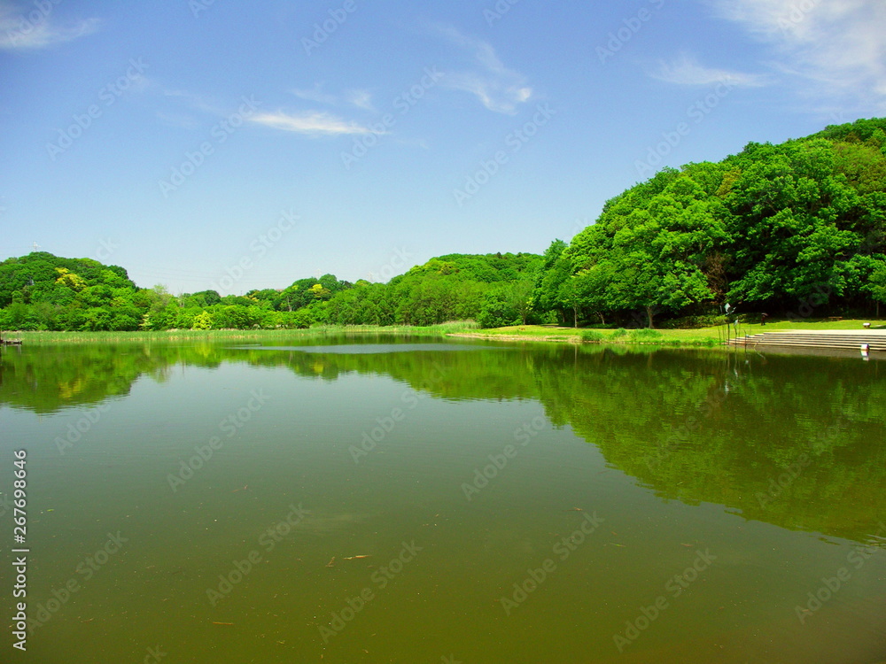 池のある初夏の21世紀の森と広場, 池のある初夏の21世紀の森と広場,