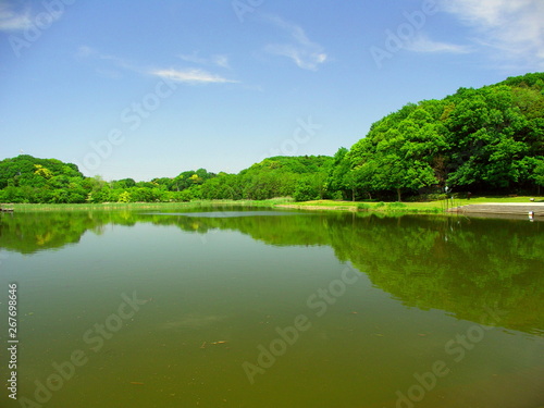 Fototapeta Naklejka Na Ścianę i Meble -  池のある初夏の21世紀の森と広場,