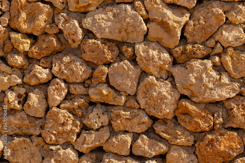 Fossil corals of the Red Sea. Ancient creatures, turned into stone. Fossil corals of the Red Sea. Ancient creatures, turned into stone.