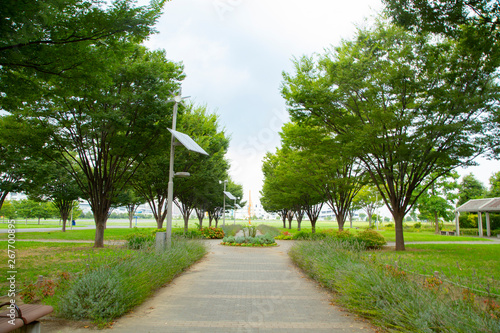Photography Tokyo bay disaster prevention park