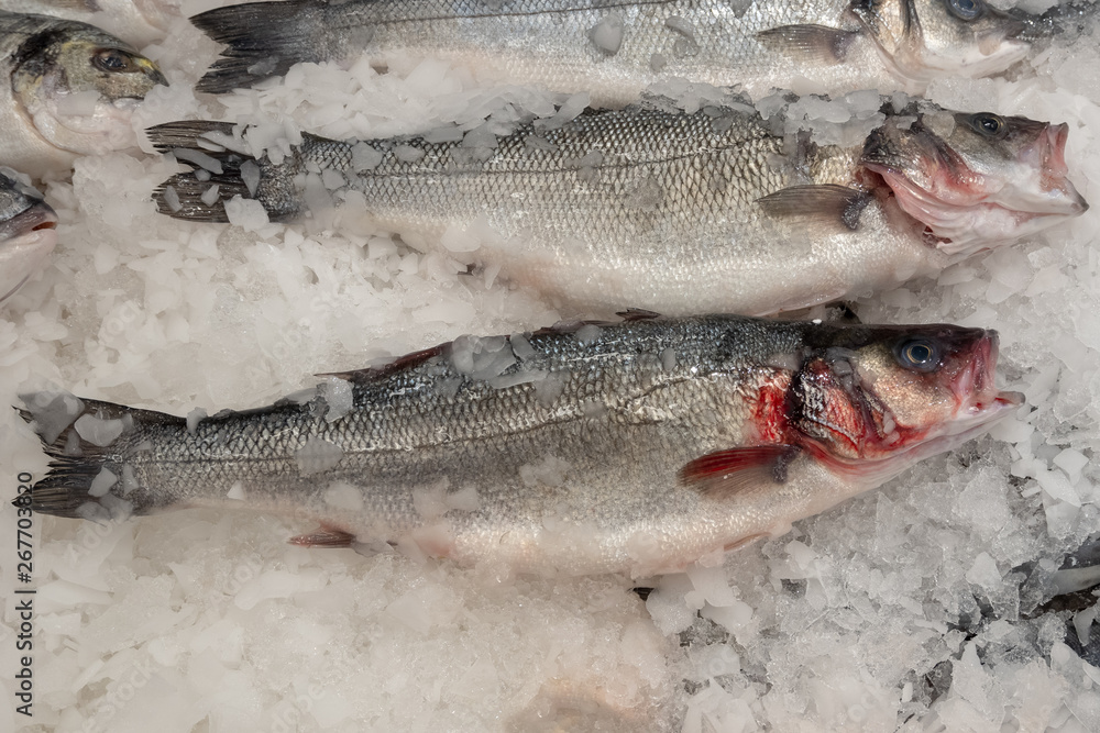 Two carcasses of raw sea Bass fish lie on the ice. Horizontal photo format