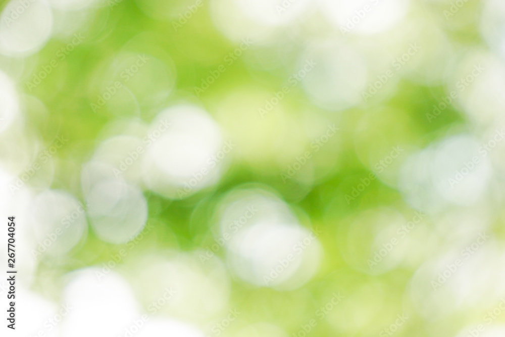 Natural, green, sun light ball blur material, bokeh effect. 自然、緑、太陽光の玉ボケ素材。ボケ効果。 Natural, green, sun light ball blur material, bokeh effect. 自然、緑、太陽光の玉ボケ素材。ボケ効果。