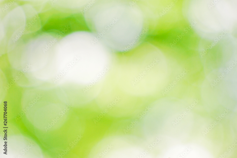 Natural, green, sun light ball blur material, bokeh effect. 自然、緑、太陽光の玉ボケ素材。ボケ効果。 Natural, green, sun light ball blur material, bokeh effect. 自然、緑、太陽光の玉ボケ素材。ボケ効果。