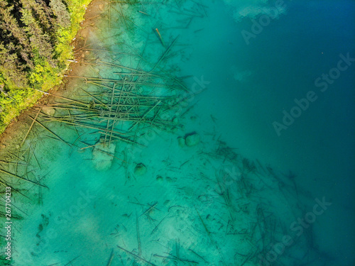 logs in a clear lake