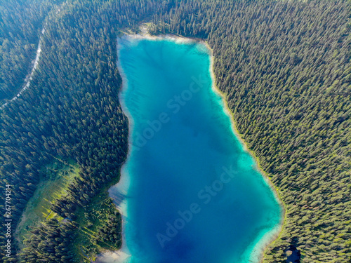 blue lake in a green forest