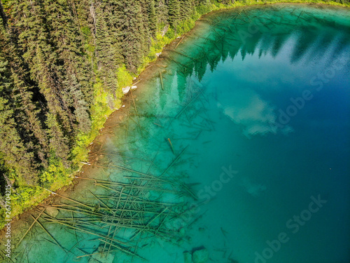 lake in the forest