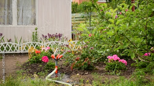 sprinkler watering flower bed in the garden