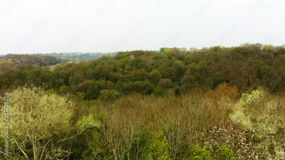 I have edited this video to pull out the colours to make them more vivid. Video taken in Bristol. I have edited this video to pull out the colours to make them more vivid. Video taken in Bristol.