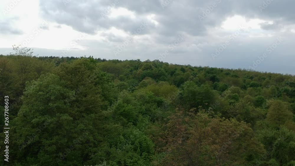 Aerial shot of flying over trees on a hill, in cloudy, rainy weather Aerial shot of flying over trees on a hill, in cloudy, rainy weather