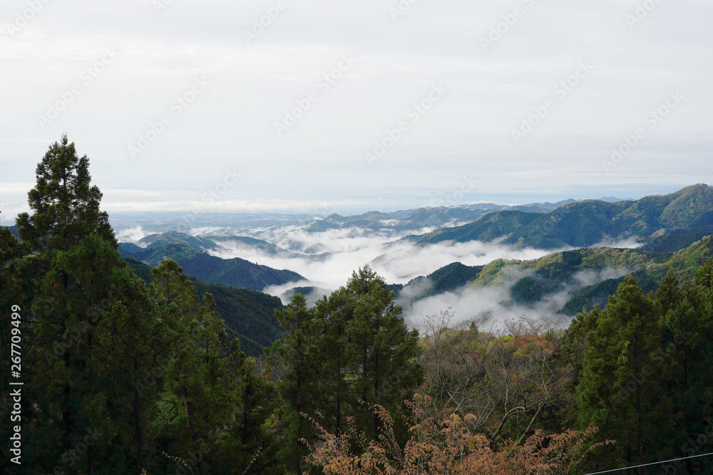 sea of clouds from the mountain sea of clouds from the mountain
