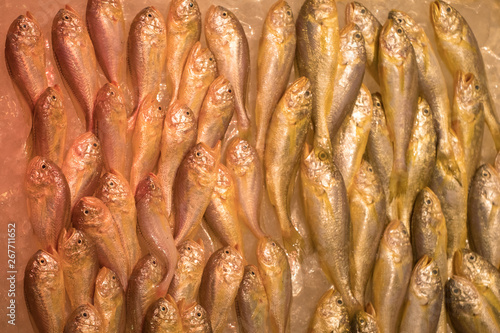 Fresh Fish Market and raw sea food material at Wan Chai Market area in Hong Kong Island. photo