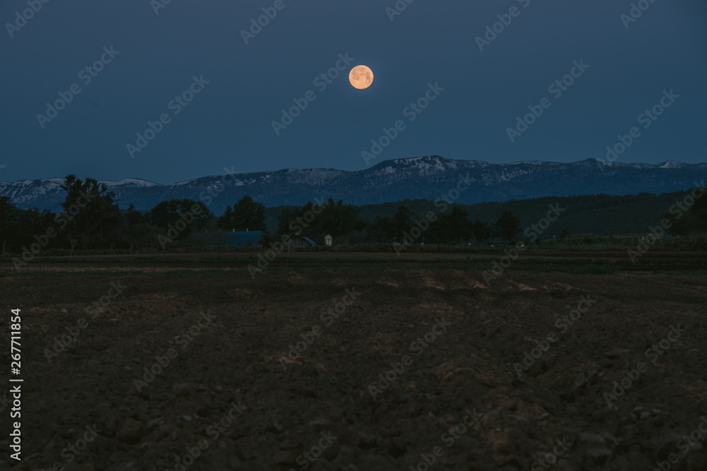夜明け前の満月（Full moon before dawn）