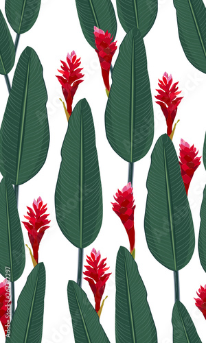 Seamless pattern tropical leaves with red ginger on white background