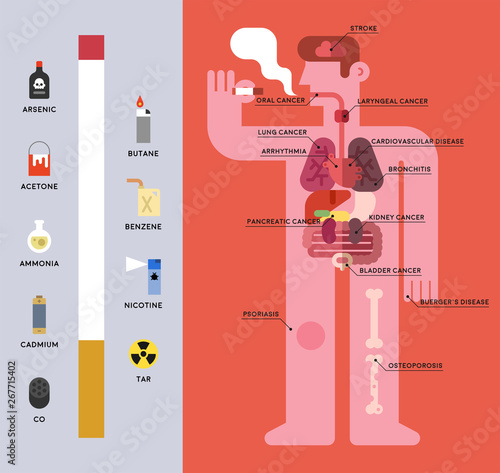 Toxic substances associated with tobacco and its internal effects. flat design style minimal vector illustration