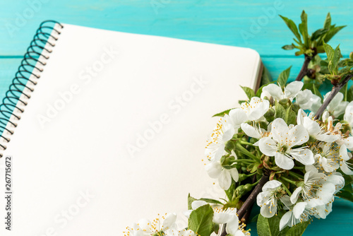 Spring blossom cherry branches and notebook on blue wooden background.