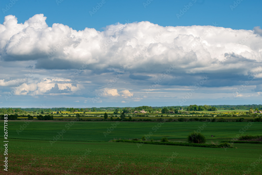 bright green meadow in sunny day in countryside