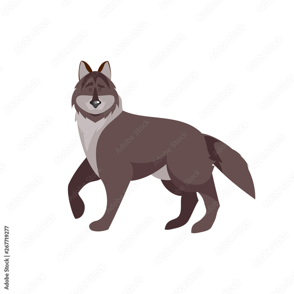 Obraz premium Cartoon wolf vector