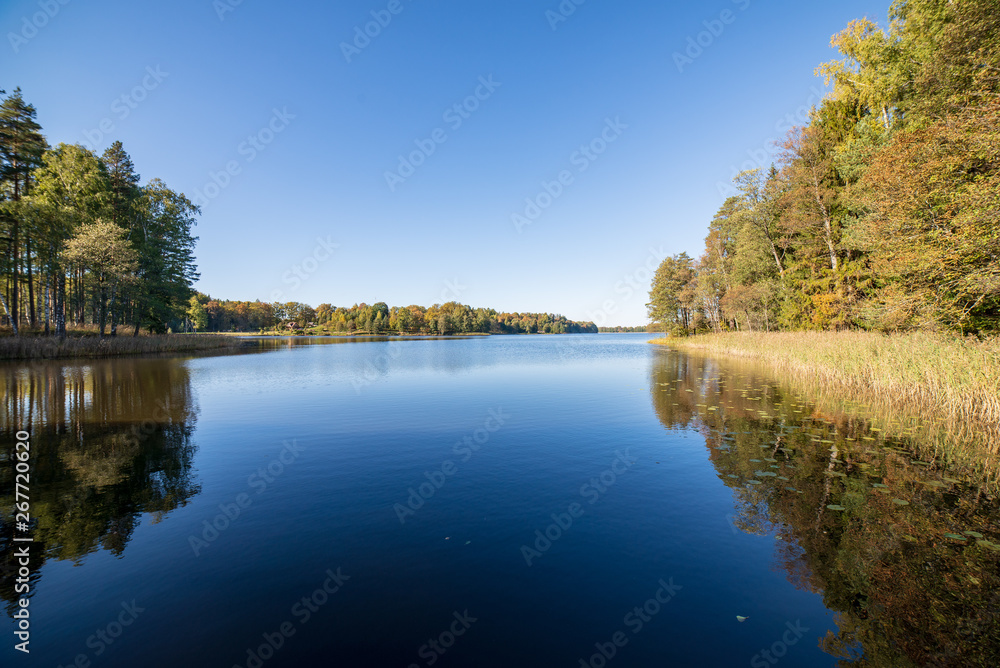 reflections of shore trees in the calm water of a lake reflections of shore trees in the calm water of a lake