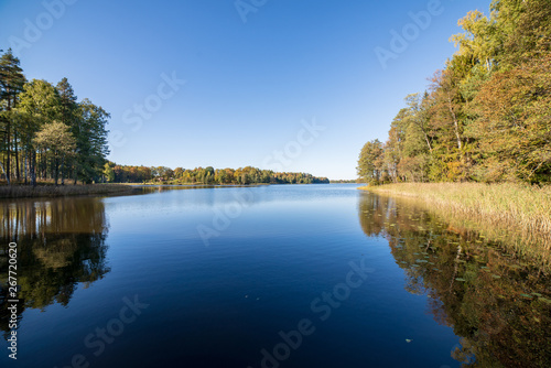 reflections of shore trees in the calm water of a lake