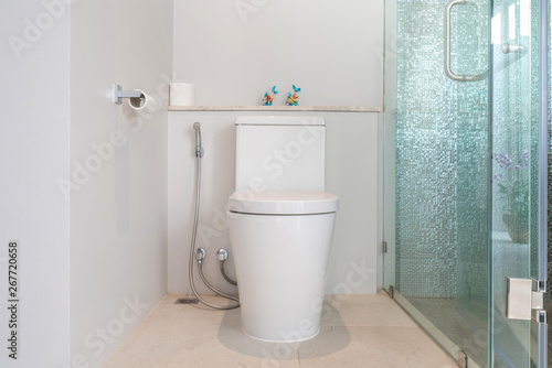 Luxury bathroom feature toilet bowl home, house ,building