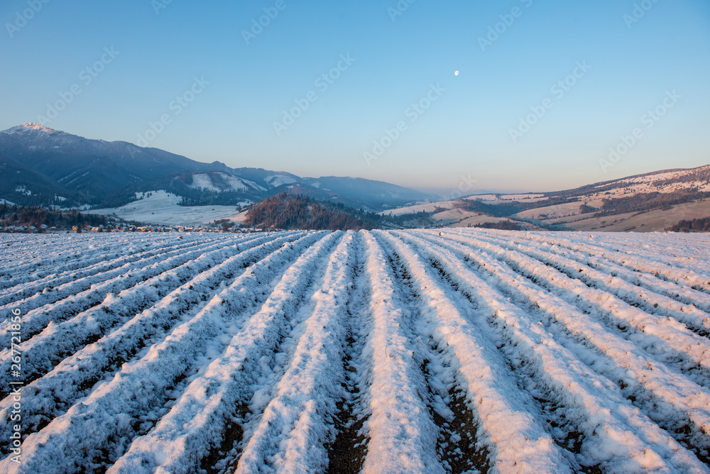 Obraz premium fields and forests covered in snow in winter frost