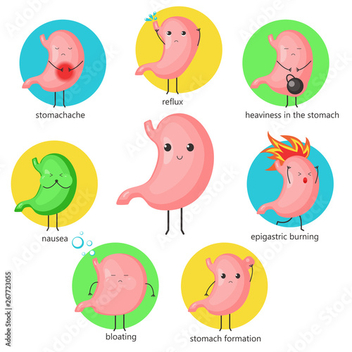 Cute cartoon stomach character set, vector flat illustration