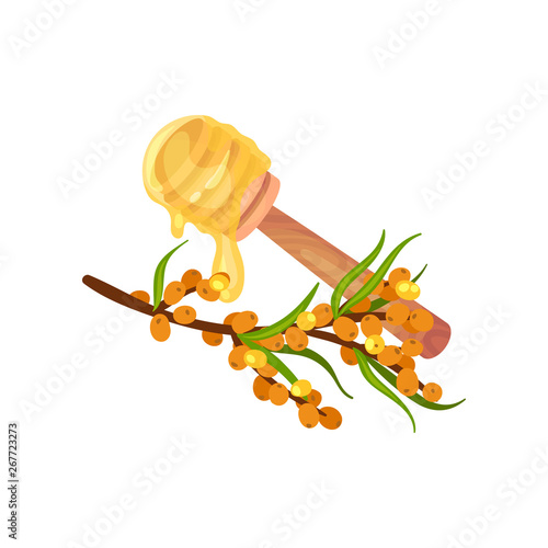 Honey from a spoon dripping on a branch of sea buckthorn. Vector illustration on white background.