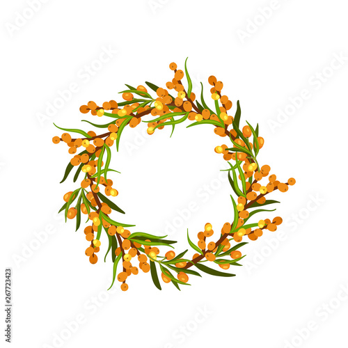 Wreath of branches of sea-buckthorn with berries and leaves. Vector illustration on white background.