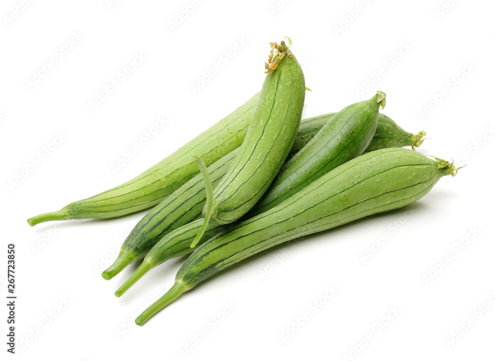 fresh loofah on the white background fresh loofah on the white background