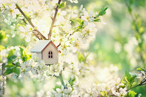 mini toy house and cherry flowers. house on spring nature background. concept of mortgage, construction, rental, using as family and property concept. close up, copy space