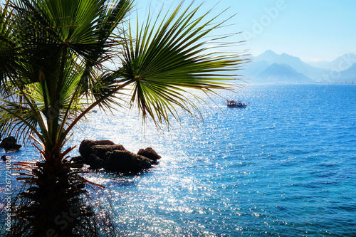 Mediterranean seascape image with palm tree and sailing boat over sunny blue sky