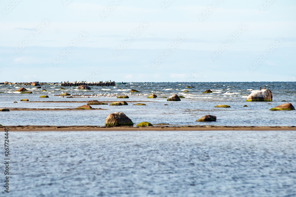 empty sea beach with rocks and grass