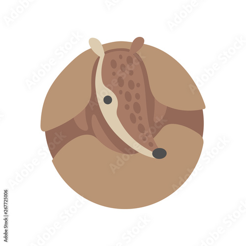 Cute Armadillo Curled Up, Adorable Pleistocene Animal Cartoon Character Vector Illustration