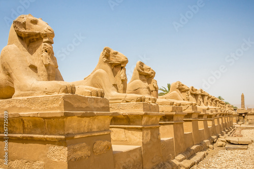Ram-headed sphinxes line the road outside the temple in Karnak, Egypt