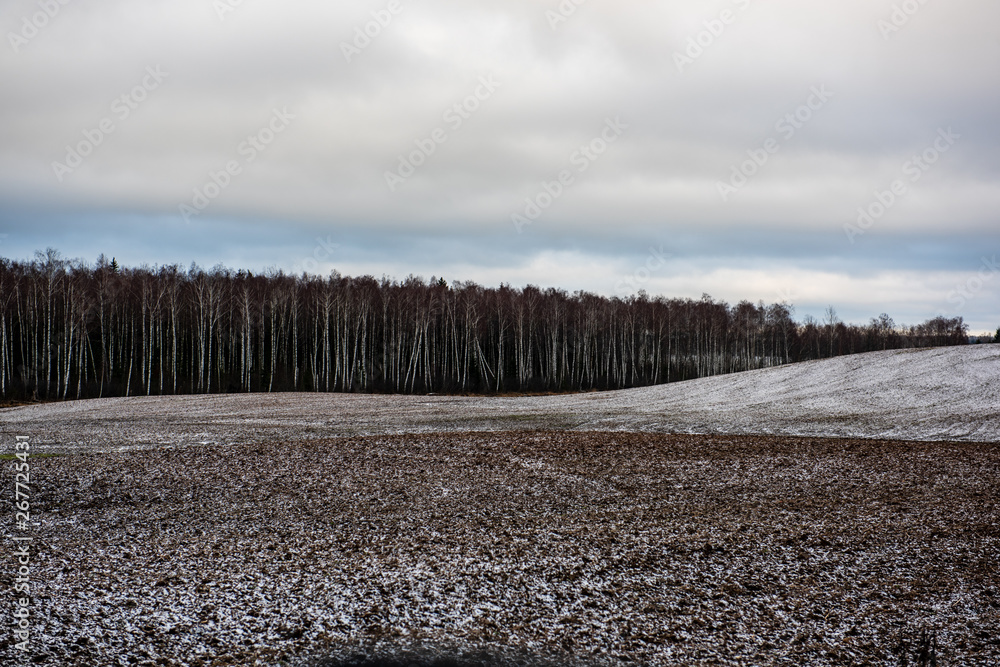 fields and forests covered in snow in winter frost fields and forests covered in snow in winter frost