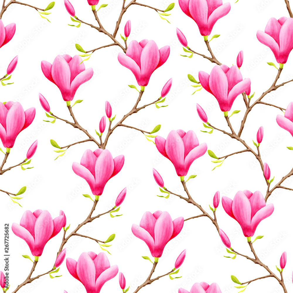 Fototapeta Akwarela różowe kwiaty magnolii wzór. Ręcznie malowane ilustracja na białym tle do dekoracji, tkanin, opakowania