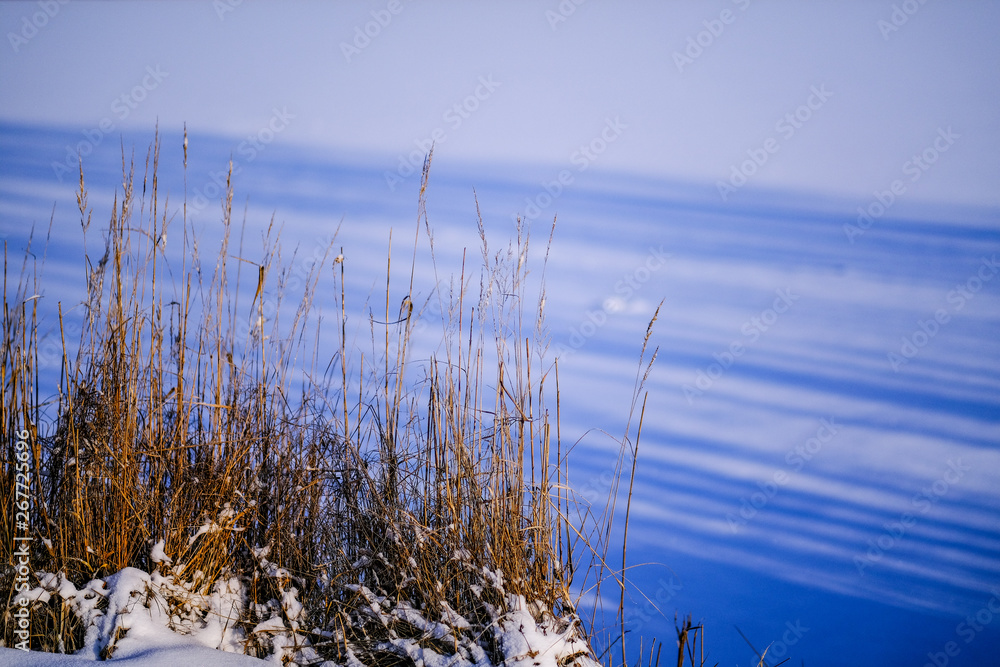 fields and forests covered in snow in winter frost fields and forests covered in snow in winter frost