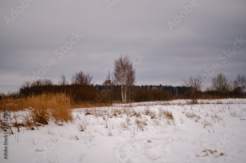 fields and forests covered in snow in winter frost