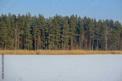 fields and forests covered in snow in winter frost