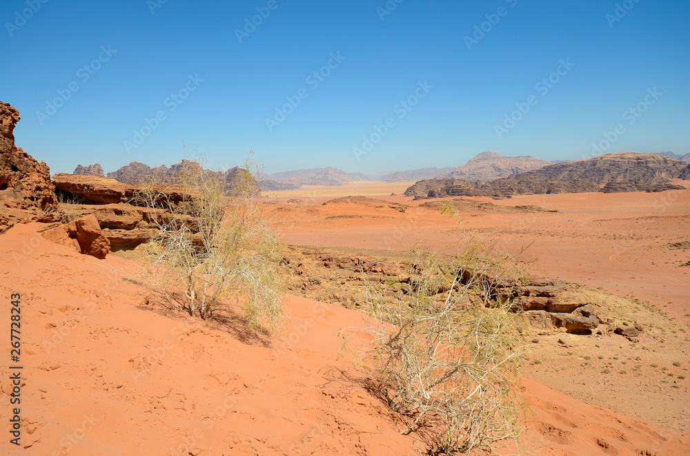 Jordan, Wadi Rum Jordan, Wadi Rum