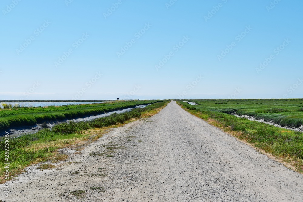 Hayward Shoreline