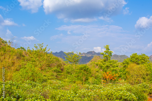 Mountain, covered with green trees, under a blue sky with clouds are beautiful nature.