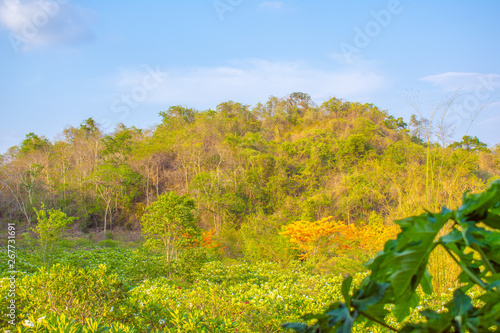 Mountain  covered with green trees  under a blue sky with clouds are beautiful nature.