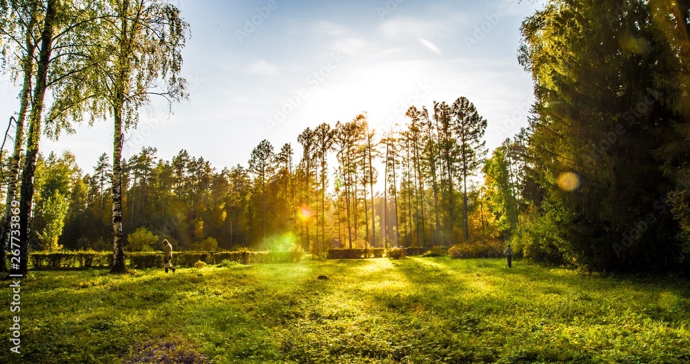 лес