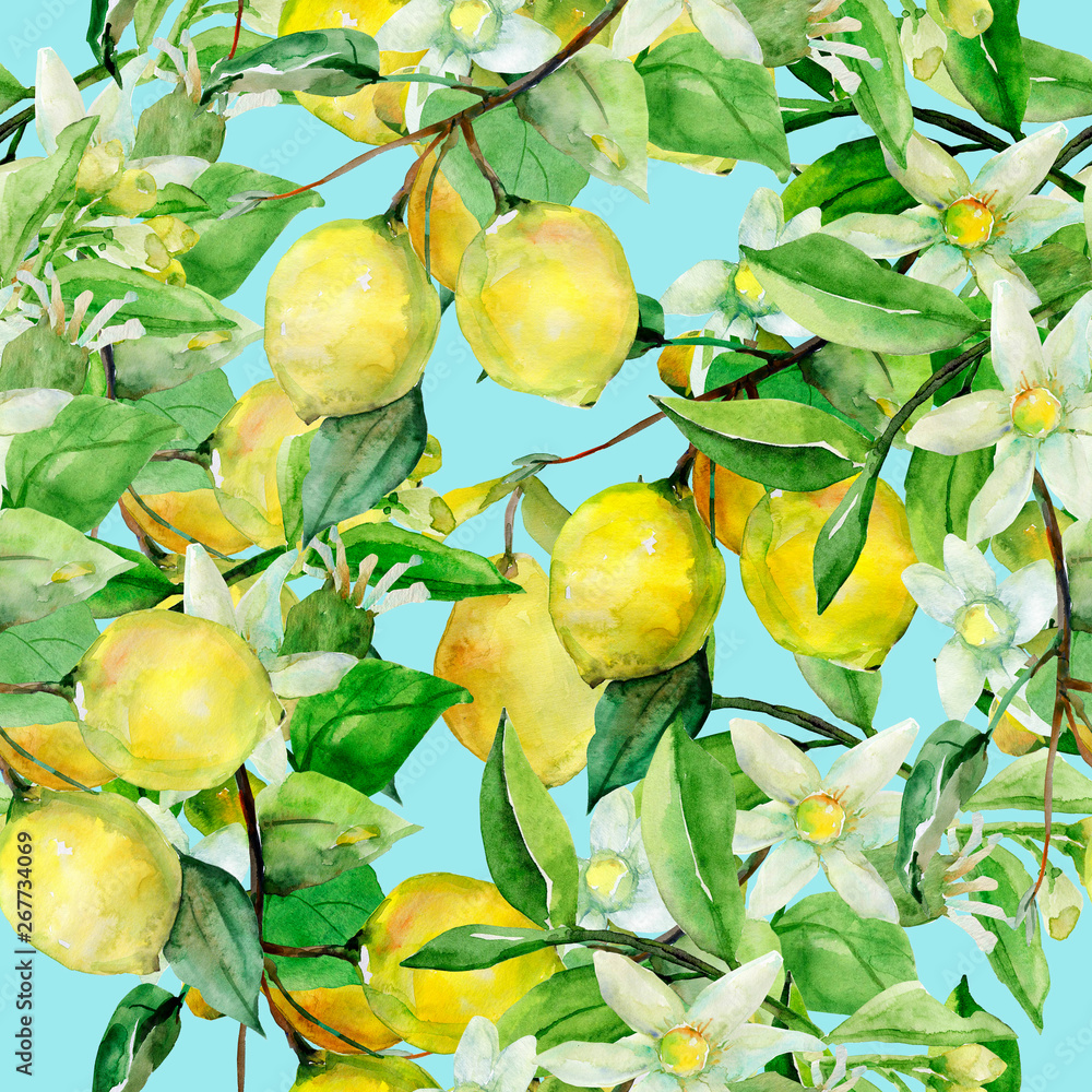Seamless Pattern lemon on white and color background. Seamless Pattern lemon on white and color background.